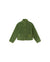 Kourtney Fleece Jacket - Cactus Green